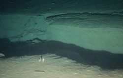Глубоководные морские трещины