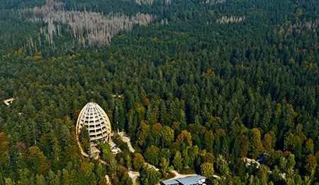 Национальный парк Баварский лес